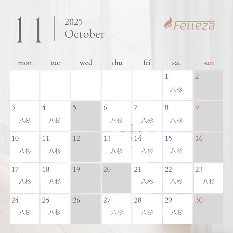 2025年11月スケジュール